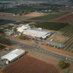 marquis macadamia factory and farm