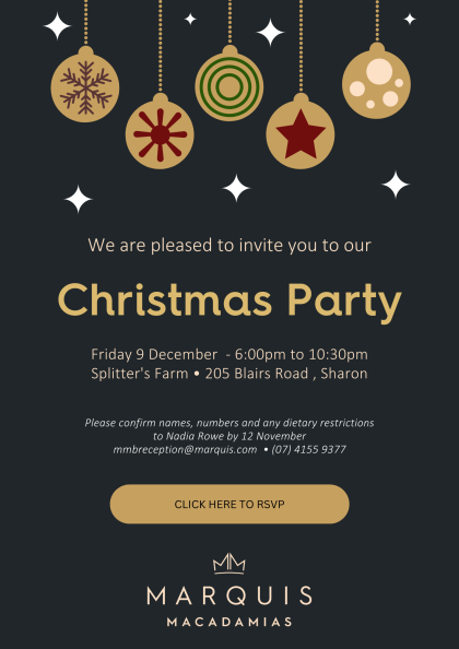 Black and Gold Christmas Party Flyer